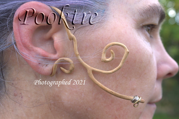 Grown shaped ear piece