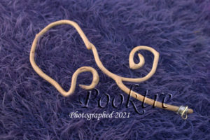 Grown ear piece