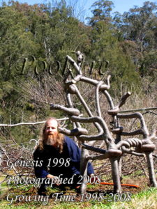 Harvesting a grown pooktre chair