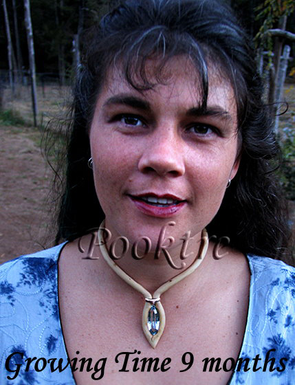 grown pooktre neckpiece