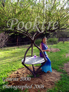 pooktre living garden table